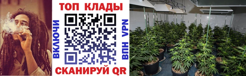 Где купить наркоту Аркадак Амфетамин  ГАШИШ  КОКАИН  APVP 