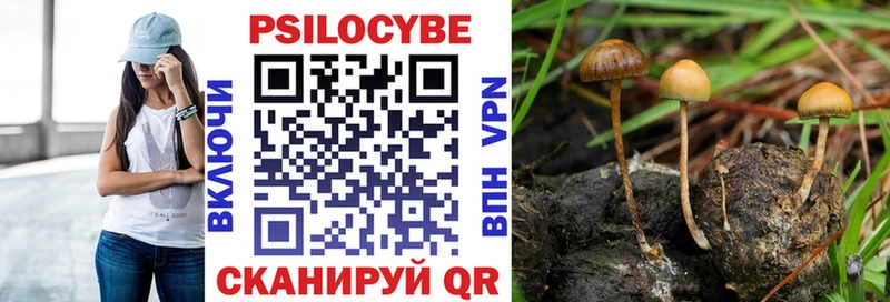 Галлюциногенные грибы Cubensis  цена наркотик  Аркадак 